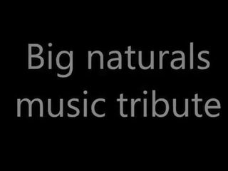 PMV - Music tribute big naturals